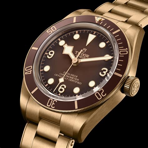 tudor black bay bronze back